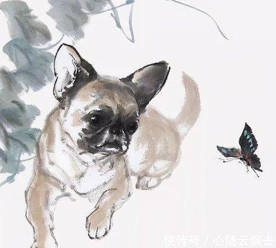 今年属狗人运气最旺的几个月 必有好事发生