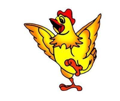 今年生肖鸡受本命年影响运势不佳 明年运势如何