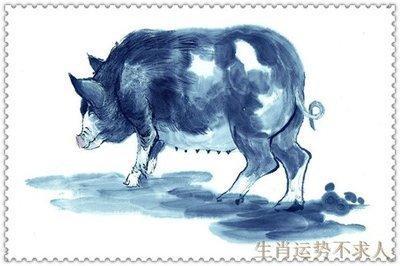 2025年不同年份出生的属猪人运势