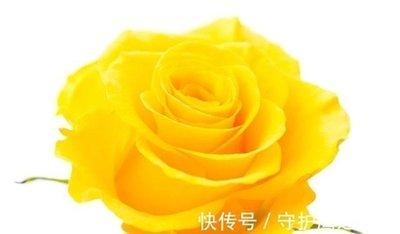 值得女人投附的生肖 嫁给这些生肖男幸福