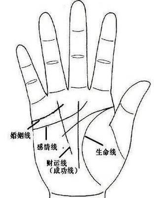 介绍你看什么样的手相最易成为有钱人