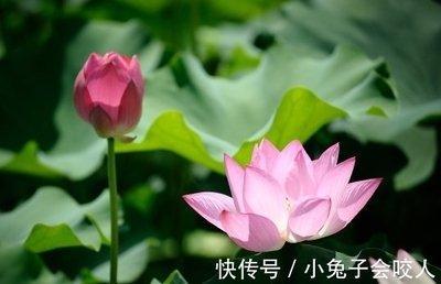从2月开始桃花旺盛 爱情唾手可得的三个生肖