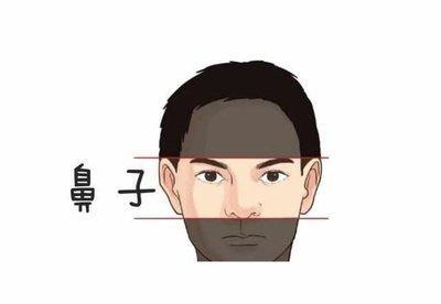 从“鼻子”看一生命运 鼻子面相与命运的关系