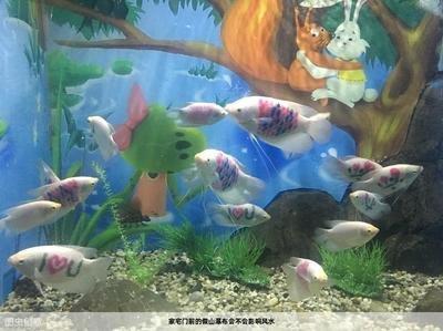 假山可能会破坏住宅风水庭院摆放假山的风水禁忌