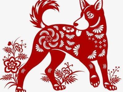2025年中属狗的人如何化解犯太岁