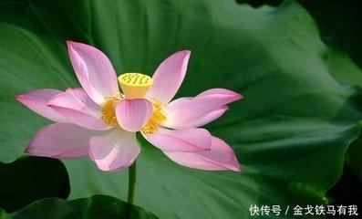 从人中看你的命运富贵 看人中了解命运