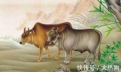 2025年中生肖属牛的人在几月里有着稳定的事业运