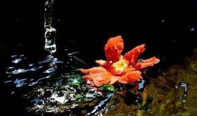 1986年8月25日晚上19-21点出生性格、运势和命运 1986年8月25日晚上19-21点出生性格、运势和命运