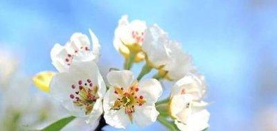 偏财运不佳怎么办3大生肖如何提升偏财运 偏财运不佳怎么办3大生肖如何提升偏财运