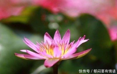做事总是糊里糊涂的星座 不能认真做事