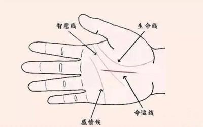 从命运线看一个人的运势 分析手中的命运线