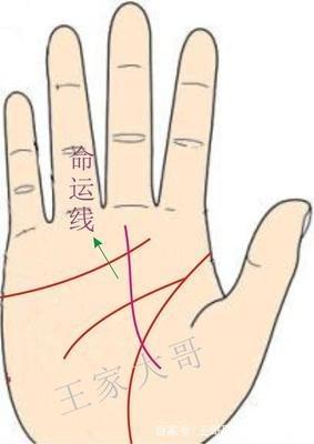 从命运线看一个人的运势 分析手中的命运线