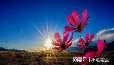 1984年7月25日晚上23-24点出生性格、运势和命运