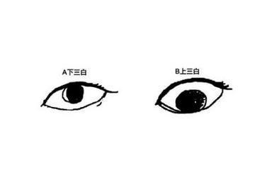 下三白眼的人面相如何 拥有下三白眼是好还是不好