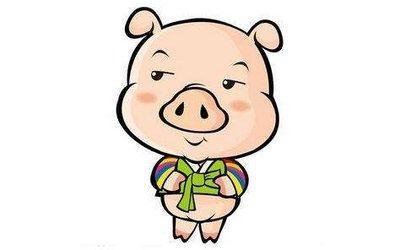 从哪些方面能够改善亥猪2025本命年中的运势