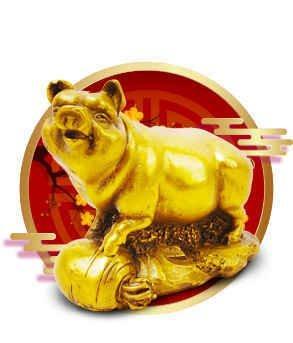 从哪些方面能够改善亥猪2025本命年中的运势
