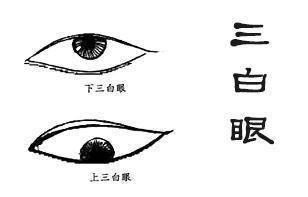 下三白眼的面相特征有什么说法了解了吗