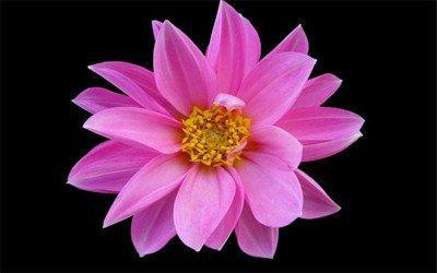 下周运势最好的3大生肖，哪方面运势最好