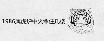 1986年属虎的住几楼最吉利 住几楼最容易发达