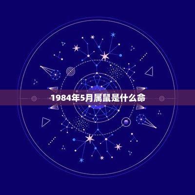 1984年8月24日中午11-13点出生性格、运势和命运