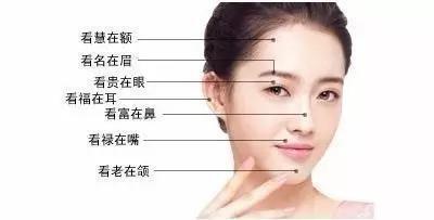 下巴圆的女人面相图解 女人下巴圆到底好不好