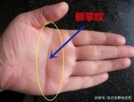 从感情线来看个人的感情运势变化超级准