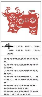 1985年10月7日晚上19-21点出生性格、运势和命运