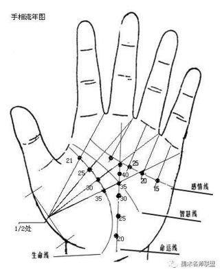 从手指长短看命运 通过手指长短了解一生运势
