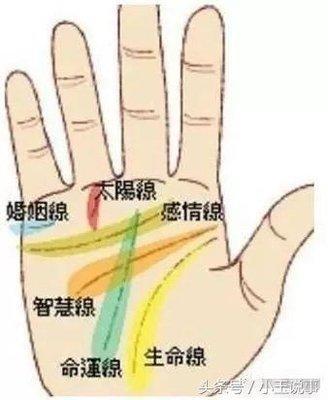 从手掌纹路了解自己的命运 什么手纹的人命好