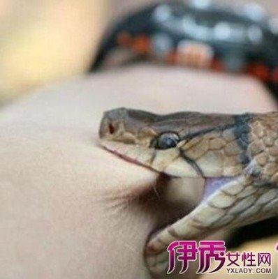 做梦梦到蛇是什么意思 梦见蛇是好还是坏