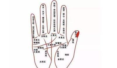 从手相来看哪些人对感情极为专一认真