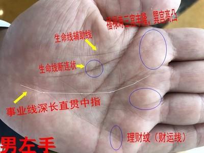 从手相特征判断你的经商能力很会赚钱