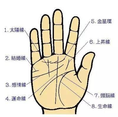 从手相看你婚姻 手相怎么看婚姻好坏