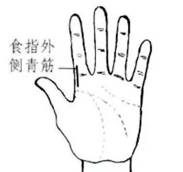 从掌纹看你的身体是否健康 掌纹与健康的关系