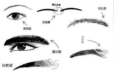 从眉毛看面相怎么看 解读眉毛面相知识