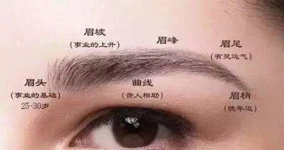 从眉毛看面相怎么看 解读眉毛面相知识