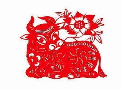 2025属牛人本命年值太岁需要注意什么事情