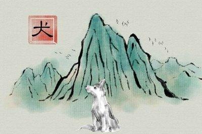 2025属狗财运怎么样 财运和上一年有什么变化