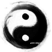 书房墙壁上不宜挂着几种画 否则影响事业发展