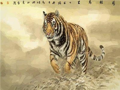 书房墙壁上不宜挂着几种画 否则影响事业发展