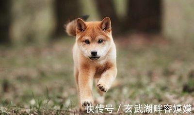 1985年12月31日上午9-11点出生性格、运势和命运