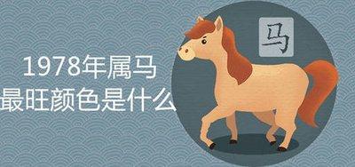 2025属马的幸运色 属马的2025年幸运数字