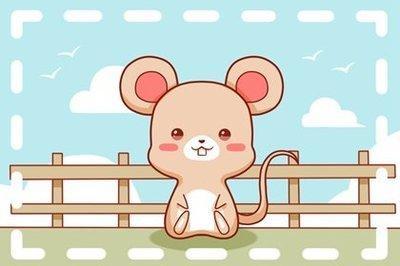 2026属鼠的幸运色 属鼠的2026年幸运数字