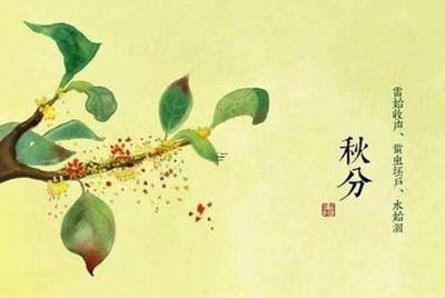 2025年农历三月二十八出殡可不可以