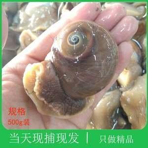 做梦梦见田螺 螺蛳 海螺是什么意思
