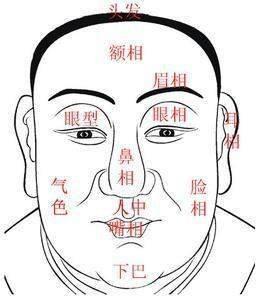 从面相里面看富贵 能富贵的人面相怎样