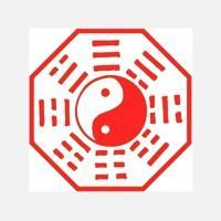 关于办公室绿植的风水宜忌分别有哪些