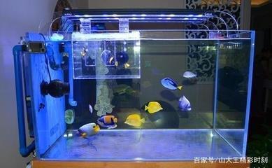从风水学上讲,鱼缸摆放在什么位置好