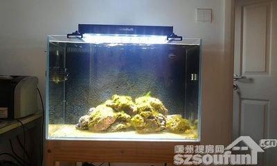 从风水学上讲,鱼缸摆放在什么位置好