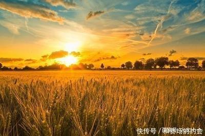 做梦梦见病人逐渐恢复健康是什么意思